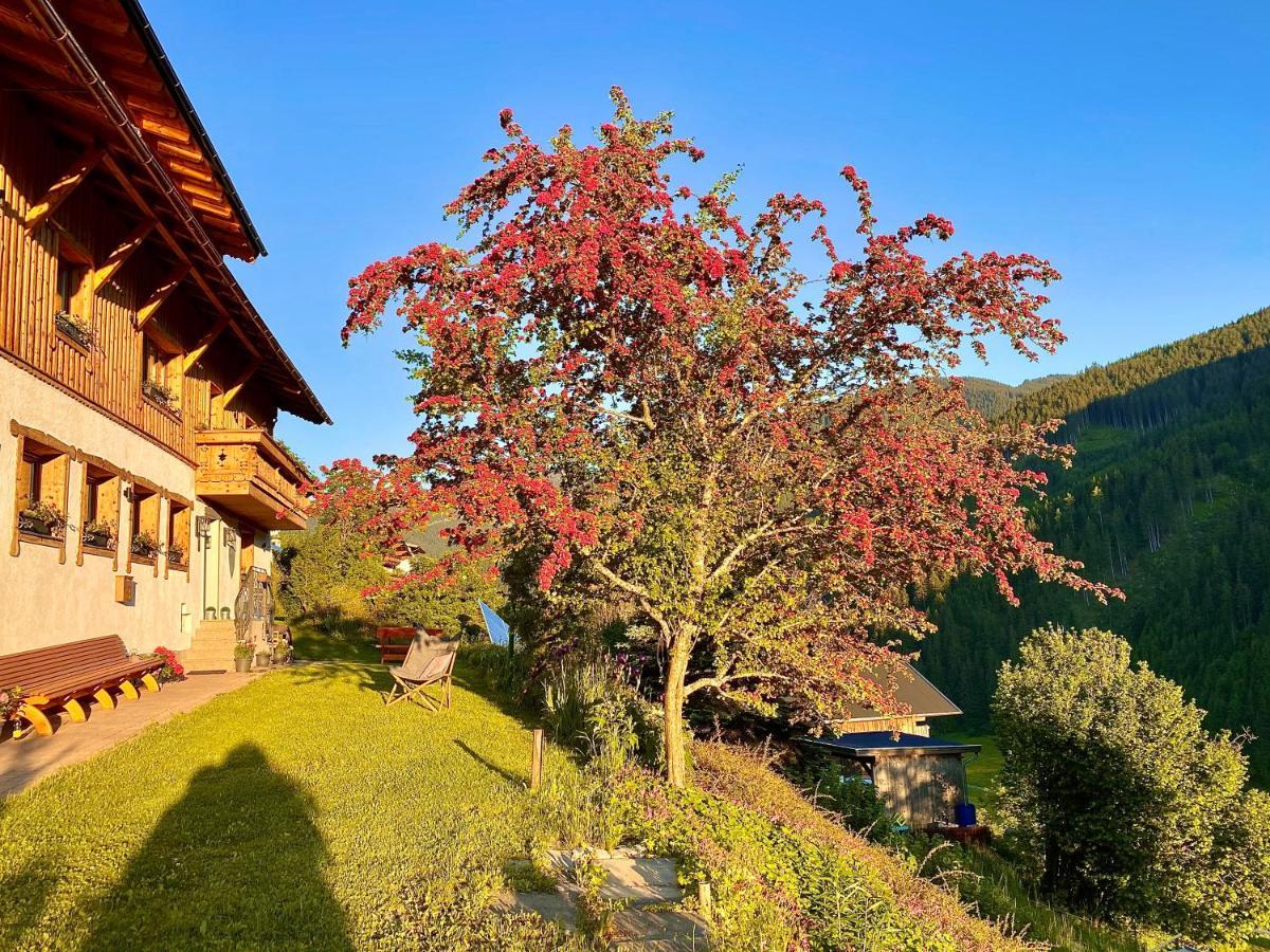 Alm Seasons Premium Chalet & Studios Saalbach-Hinterglemm Ngoại thất bức ảnh